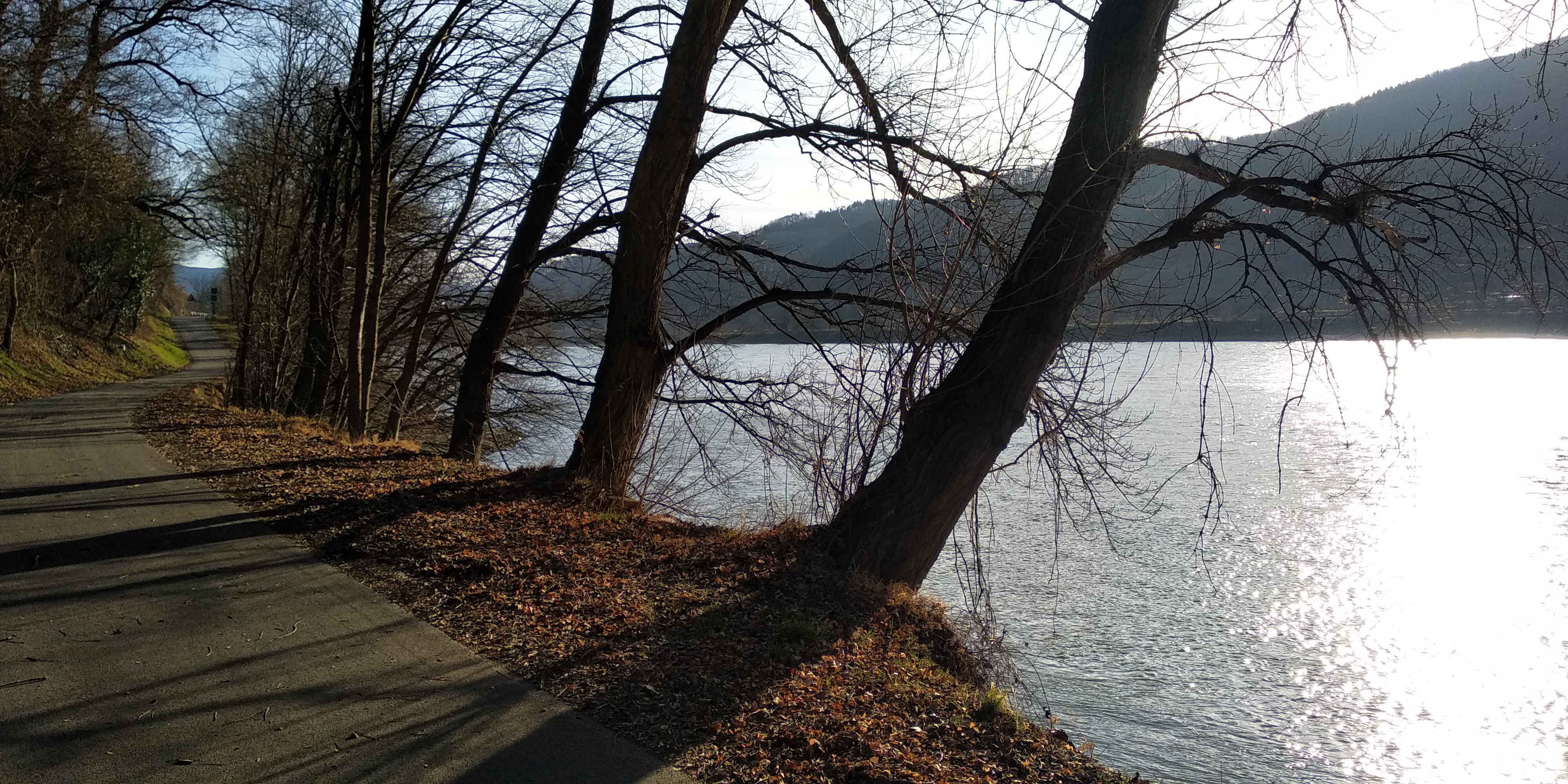 Am Donauradweg